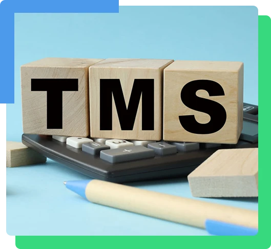 Transcranial Magnetic Stimulation TMS